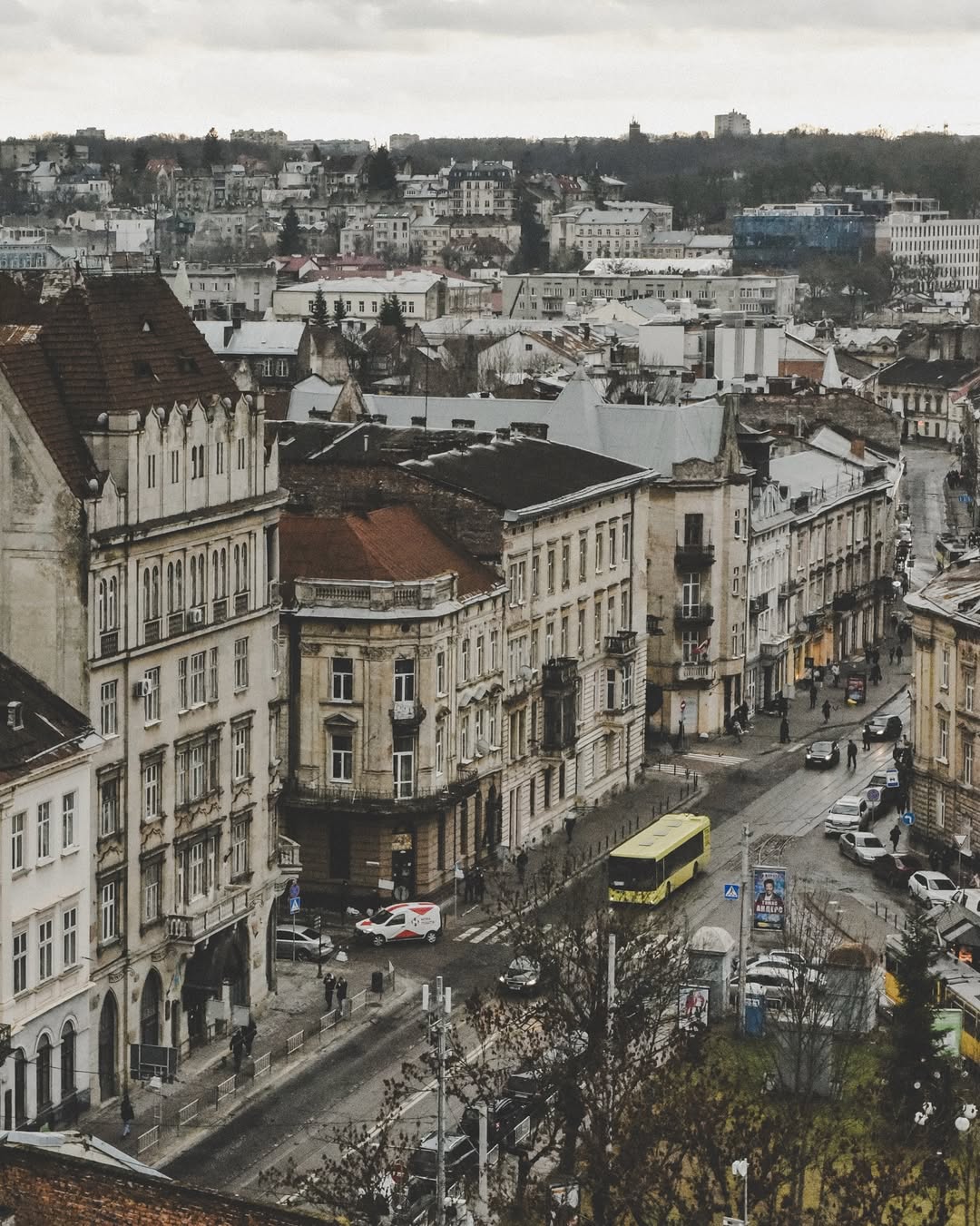 photo_2026-02-26_11-00-09