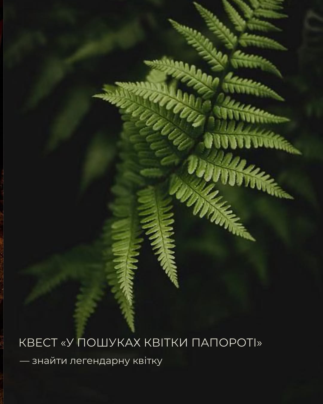 🌿 СВЯТО ІВАНА КУПАЛА 🌿23 червня запрошуємо вас на особливий вечір, де природа, традиції та літ-9